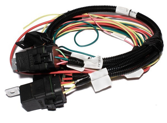 Fan & Fuel Pump Wiring Harness Kit